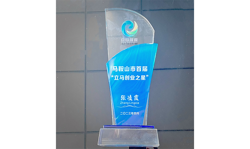 立马创业之星